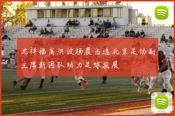 沈祥福高洪波杨晨当选北京足协副主席新团队助力足球发展