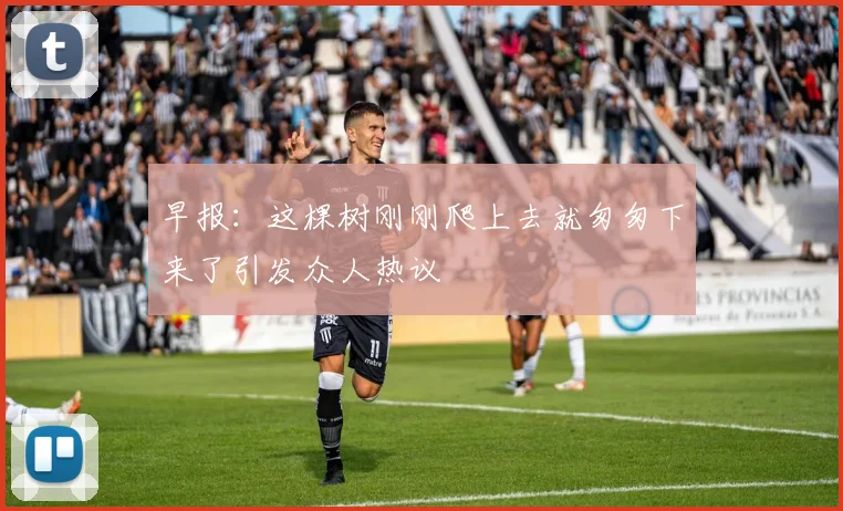 早报：这棵树刚刚爬上去就匆匆下来了引发众人热议