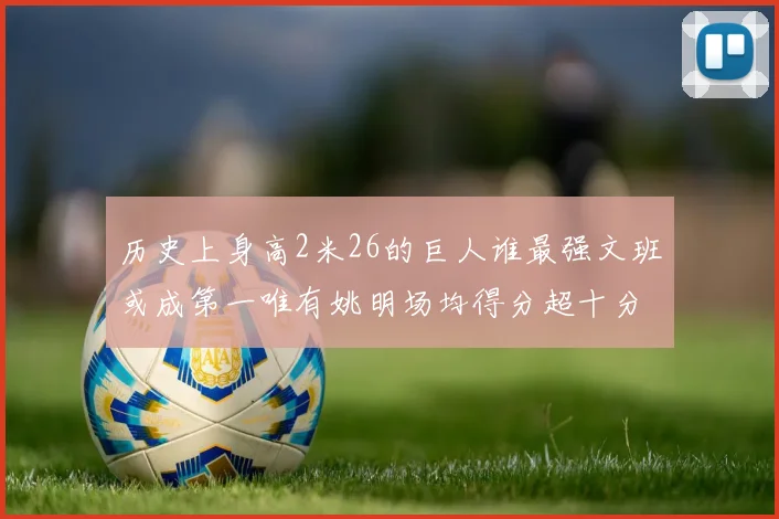历史上身高2米26的巨人谁最强文班或成第一唯有姚明场均得分超十分